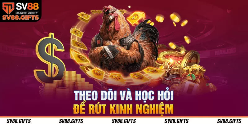 Theo d&otilde;i v&agrave; học hỏi để r&uacute;t kinh nghiệm